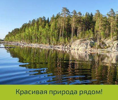 Красивая природа